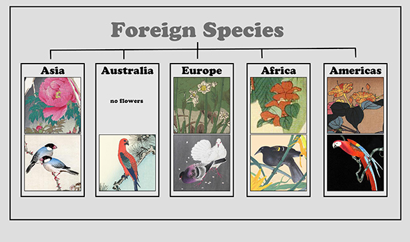 Foreign Species Blog